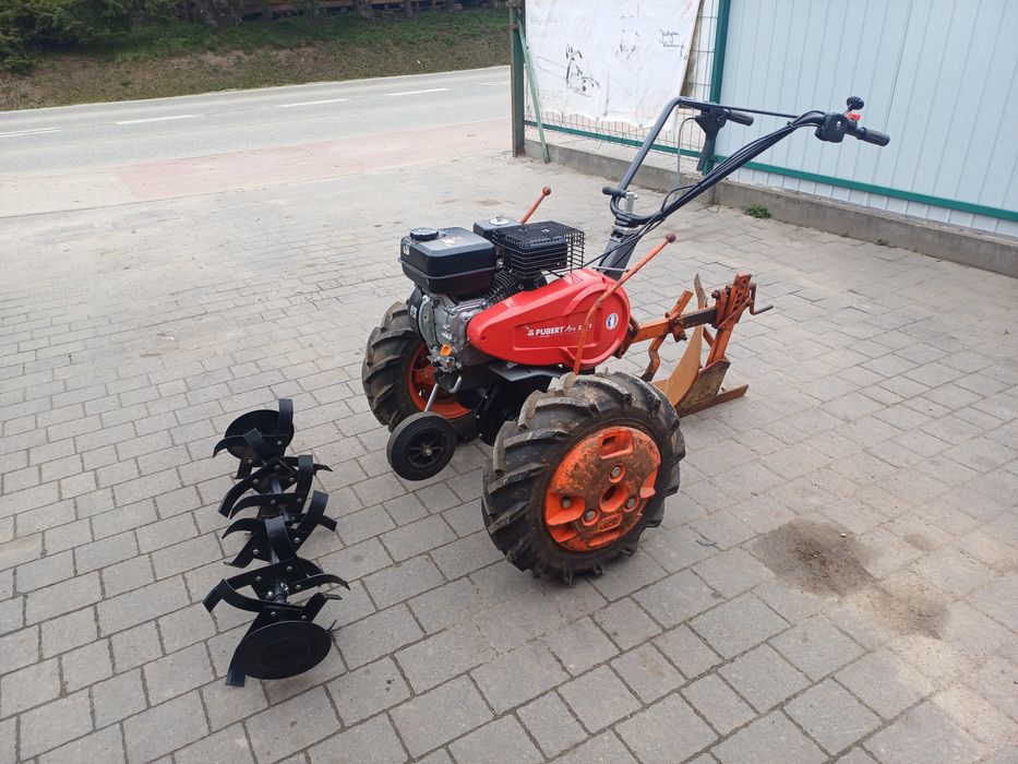 Glebogryzarka dzik pubert 6km pług