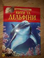 Кити та дельфіни