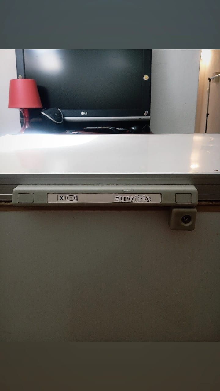 Feezer congelador horizontal 230L

Feezer congelador horizontal 230L