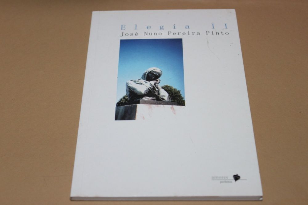 Elegia II de José Nuno Pereira Pinto -POESIA