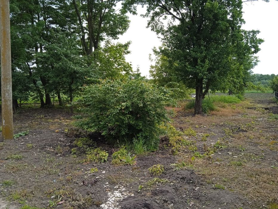 Земельна ділянка