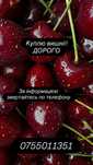 Куплю вишні дорого