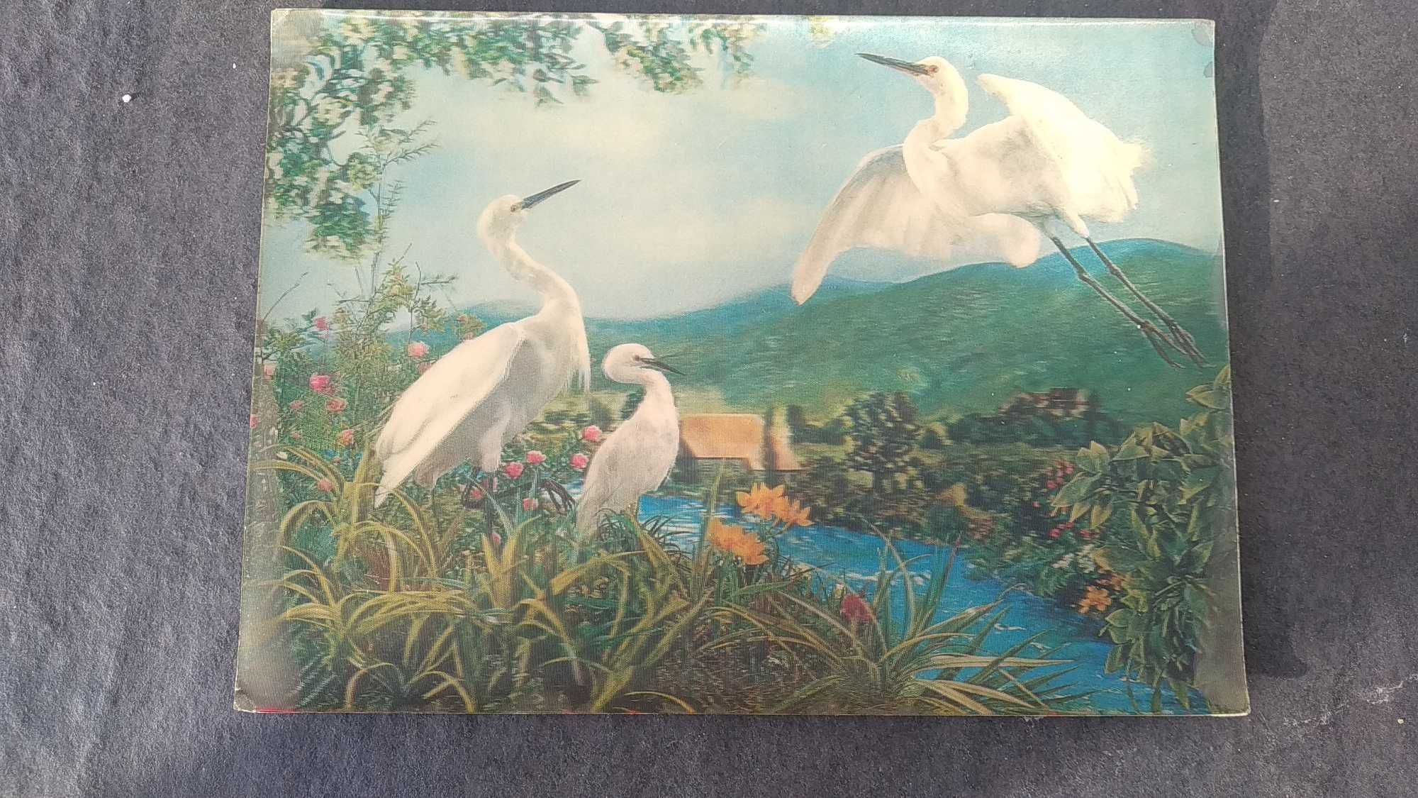 Pocztówka 3D, lata 70te