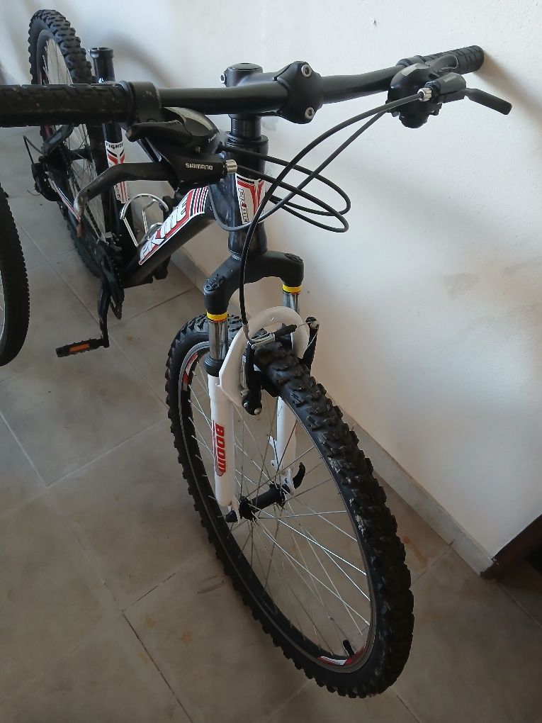 Bicicleta de montanha