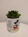 Kwiatek Pepco * Myszka Mickey Minnie Pluto Kaczor Donald Daisy