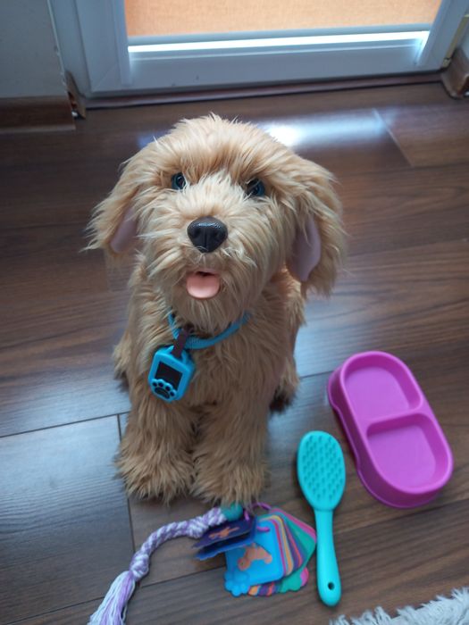 Sprzedam pieska Piksel interaktywny, jak nowy