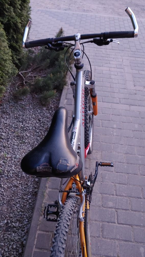 Rower Author Enduro Basic DSX