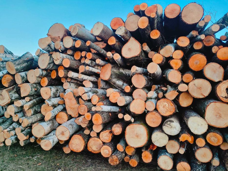 drewno opałowe, kominkowe, do wedzarni, grilla,  brzoza, olcha