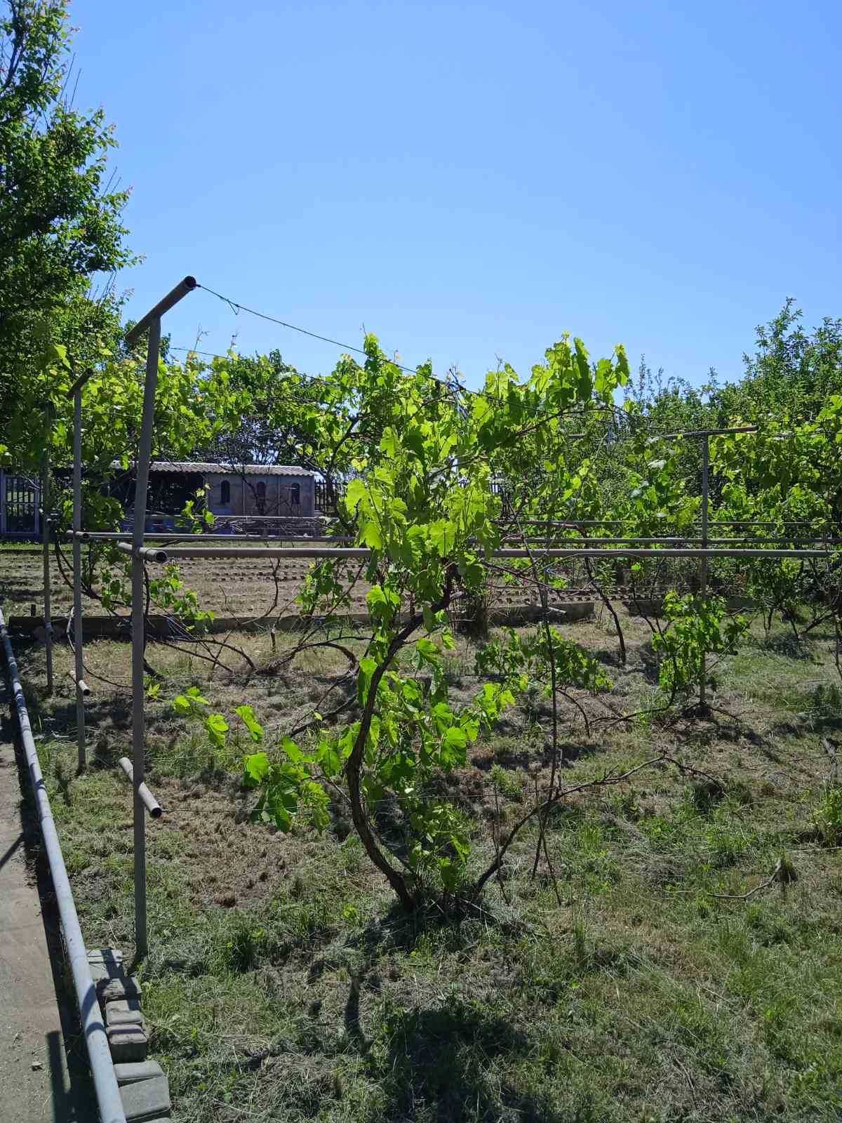 Продается дача поселок Петро-Свистуново, рядом Днепр