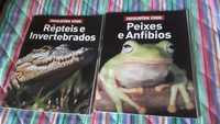 Enciclopédia visual - peixes e anfíbios; répteis e invertebrados