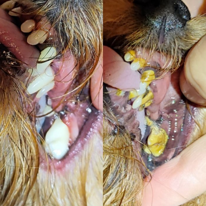 Ультразвуковая чистка зубов 650грн