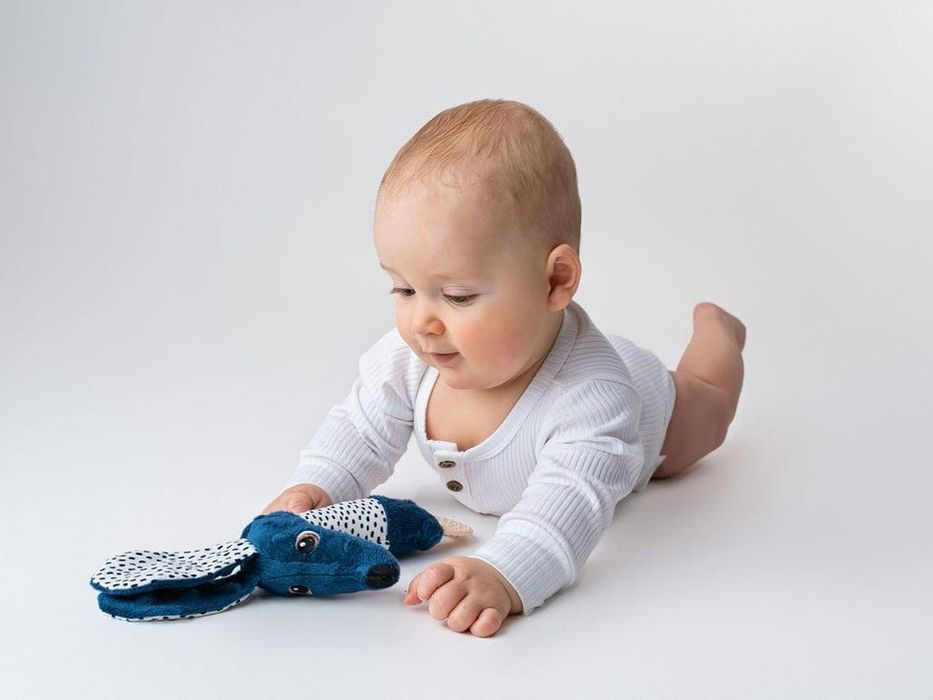 Jamiś piszczek z gryzakiem szeleścik Moms ZA4496