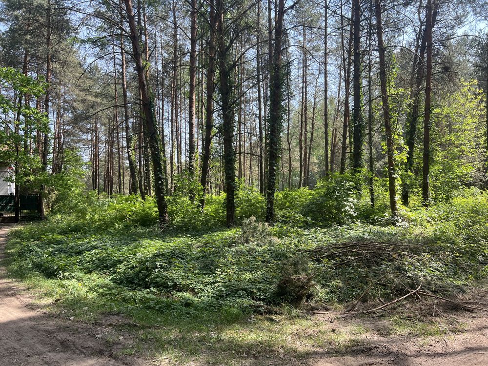 Działka w lesie nad Zalewem Zegrzyńskim 1400 metrów 900m od wody