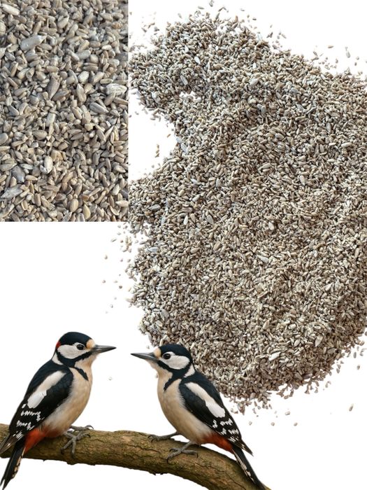 Słonecznik łuskany II gatunek pokarm do karmnika 20 kg GRATIS kula im