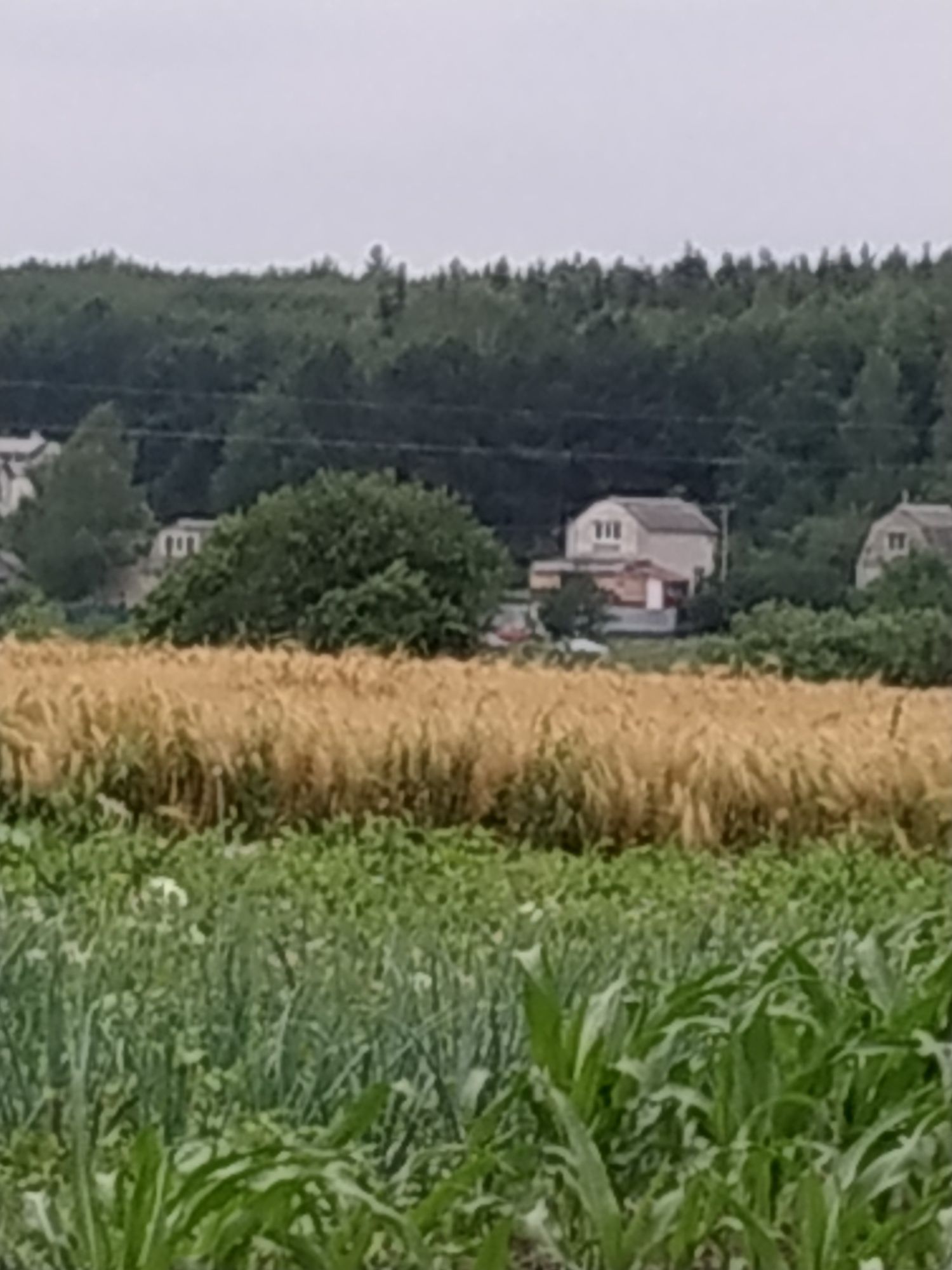 Будинок ,дім,хата на дві частини.