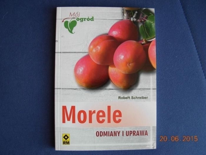 Morele odmiany i uprawa