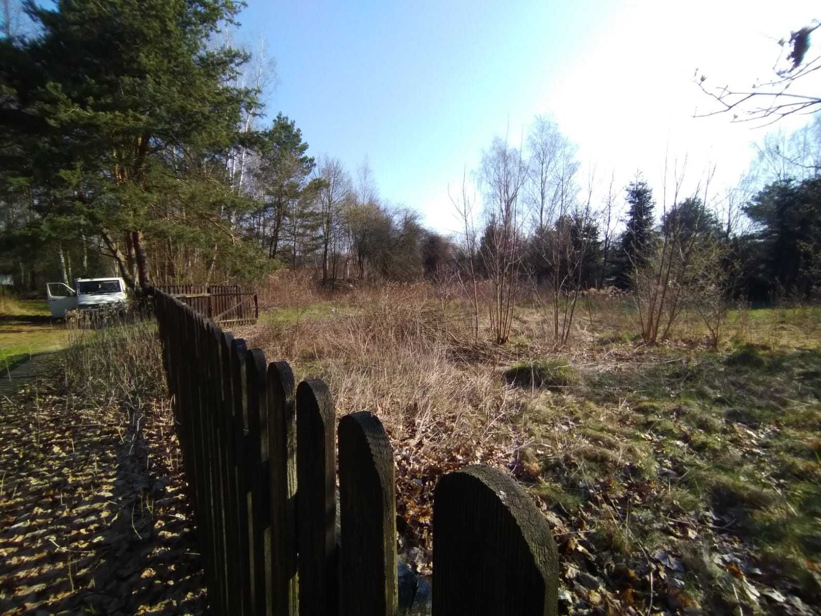 Mulczowanie Wycinka drzew Mulczer Leśny Czyszczenie działek PILAR