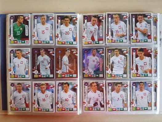 Panini Road to Russia 2018 kompletny album