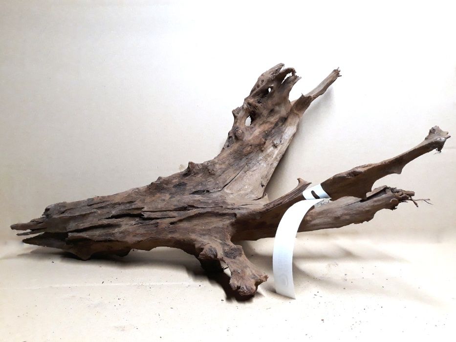 Korzeń mangrowca XL do akwarium aranżacja akwarium korzenie kamień