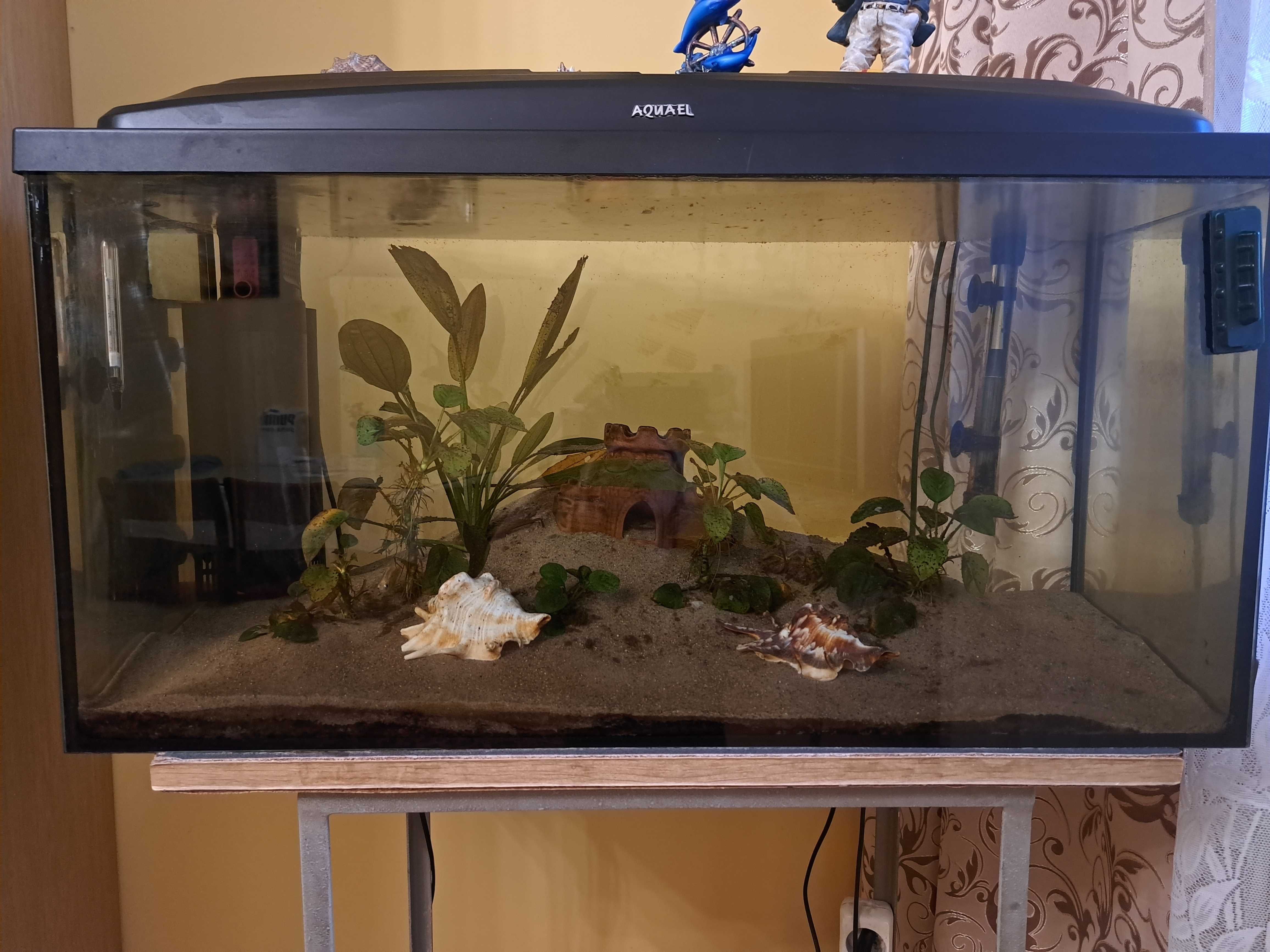 Akwarium 100 l Aquael