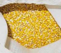 Продам кукурудзу  домашню, урожай 2023 року .можлива доставка