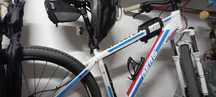 Bicicleta Berg roda 29