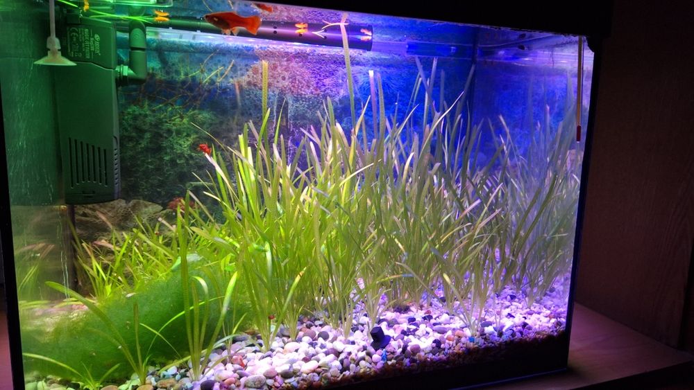 Продам  аквариум