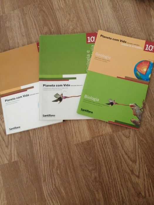 Manuais 10 e 11 ano, português, filosofia, física e química, bio...