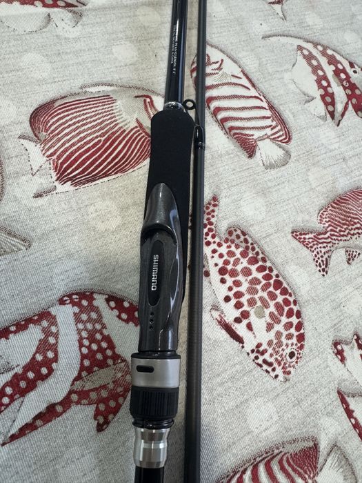 Cana de choco Shimano Salty Advance (Eging)