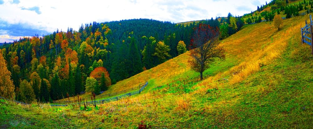 Продам Землю Карпаты Косовский район Ивано-Франковска область