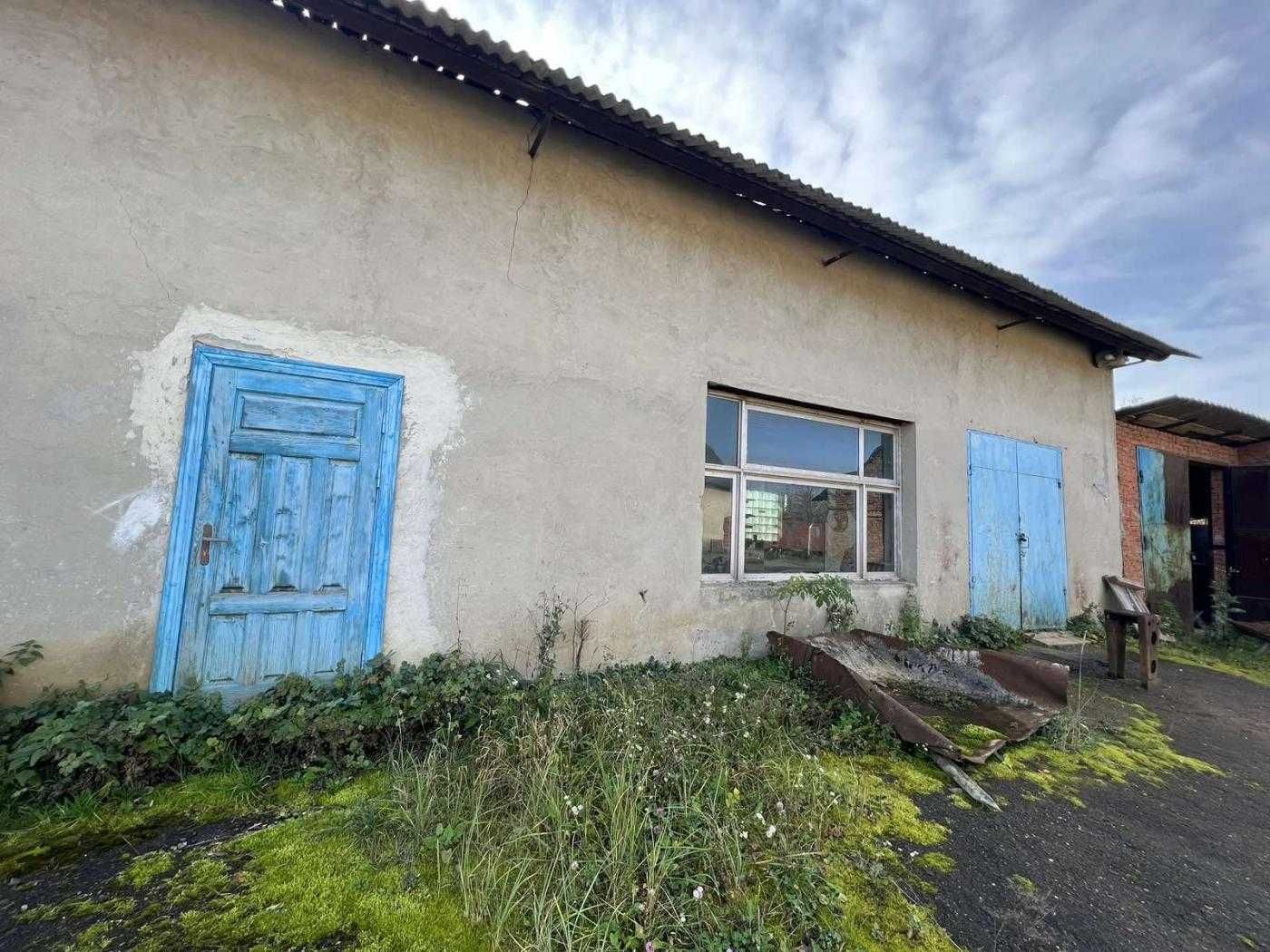 Продаж виробничо - складських приміщень, с. Горбачі