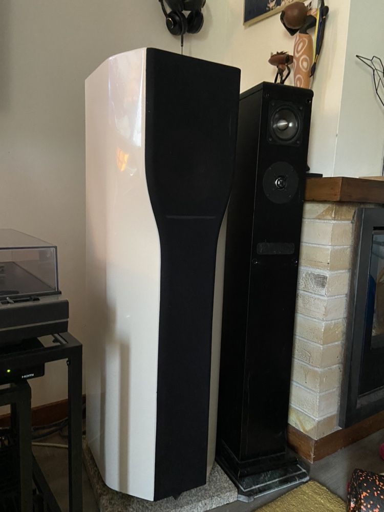 leedh elfe (focal audax)