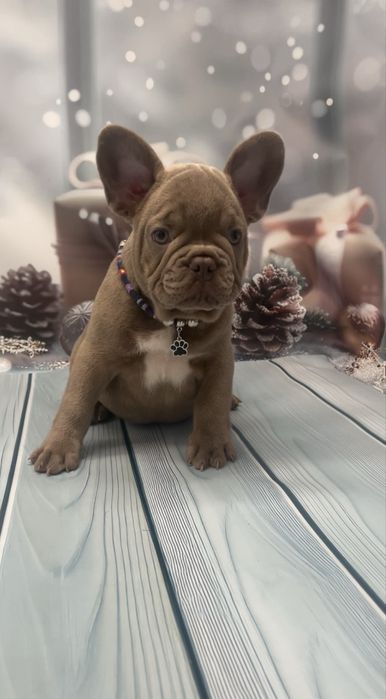 Самі кращі малюки два щепленя