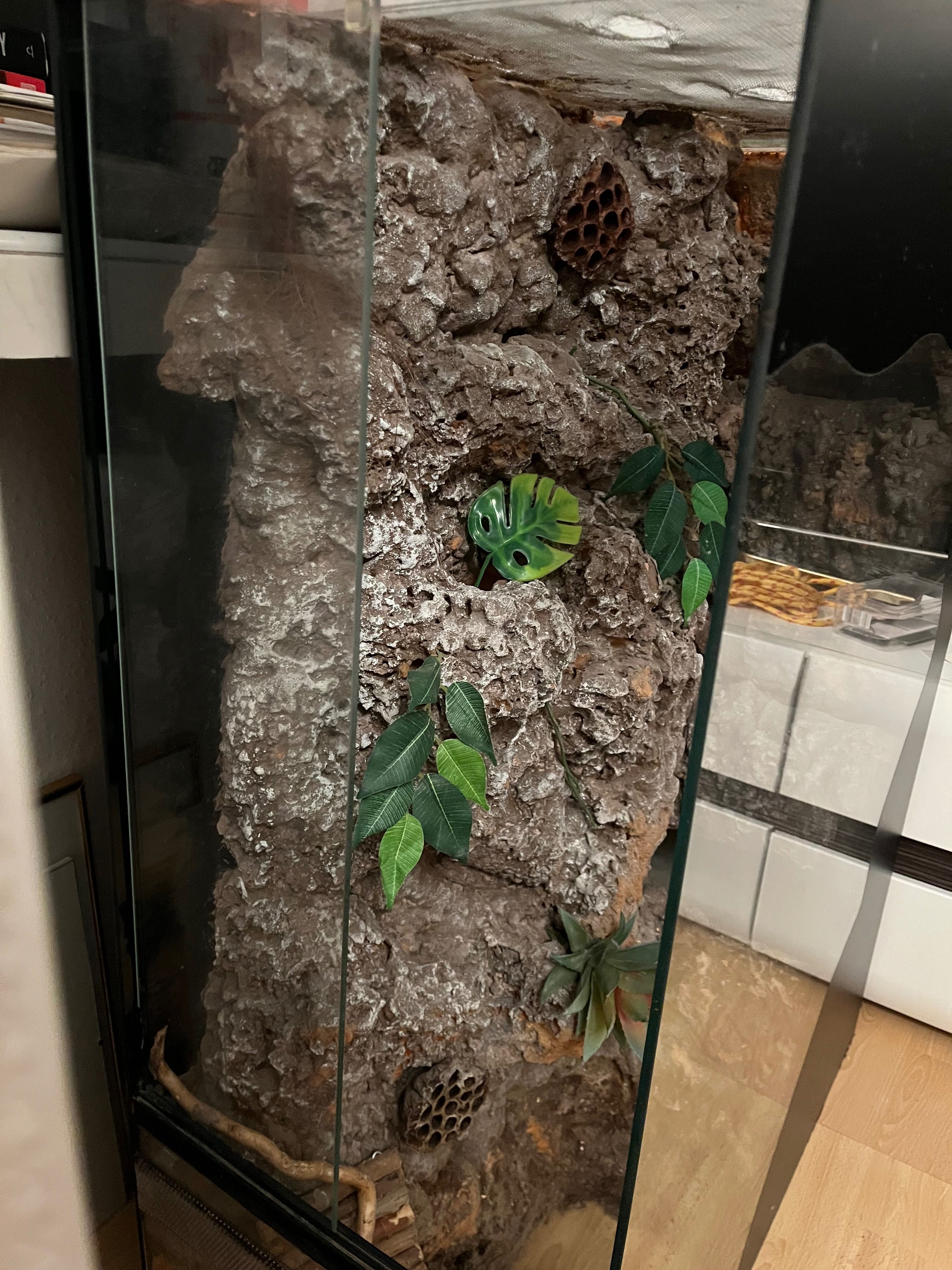Terrarium wertykalne 90x70x30 gekon orzęsiony ze ścianką wystrojem