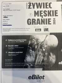 Bilet Męskie granie Poznań