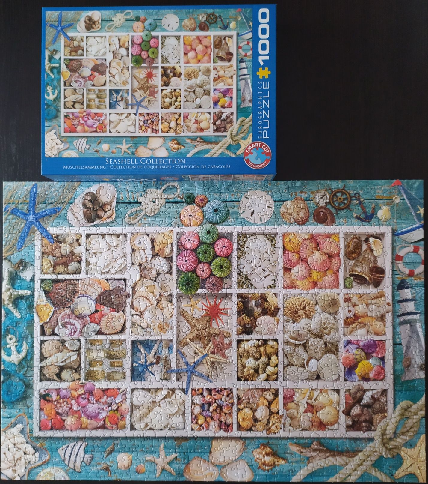 Puzzle Eurographics 1000 Seashell collection Smart cut