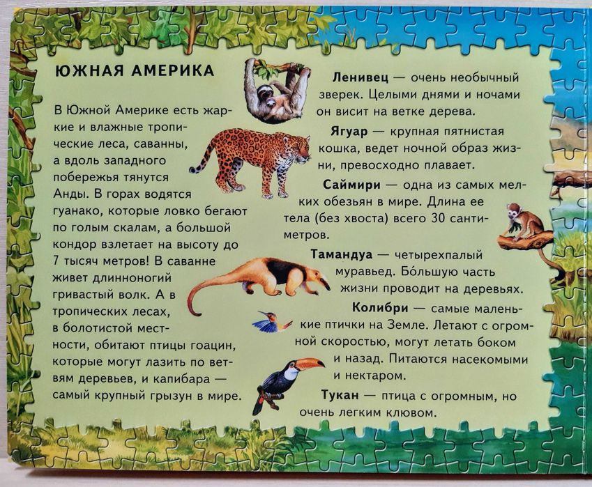 Пазлы Животные пяти континентов детские обучающие пазлы звери природа