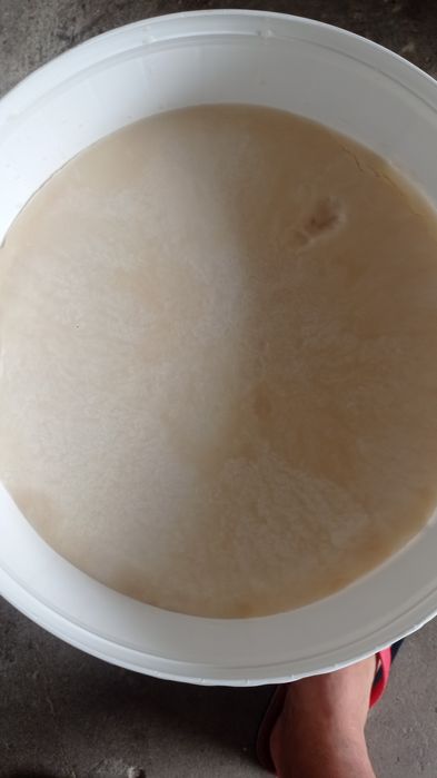 Miód rzepakowy wysoka jakość