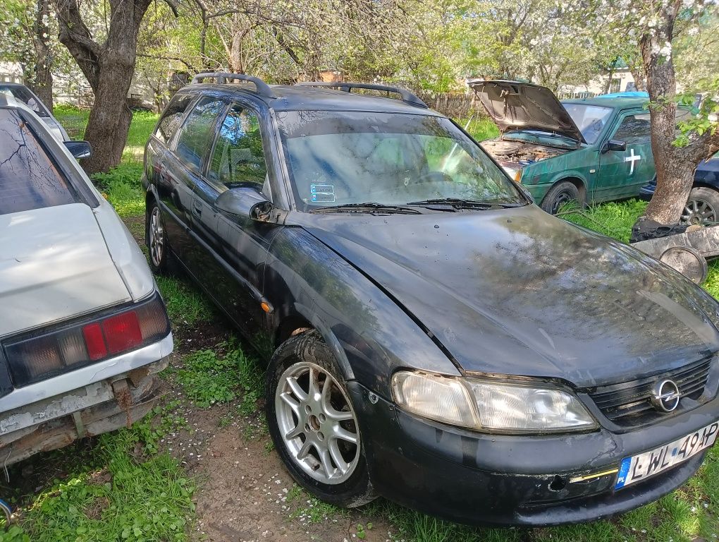 Opel Vectra b.       .