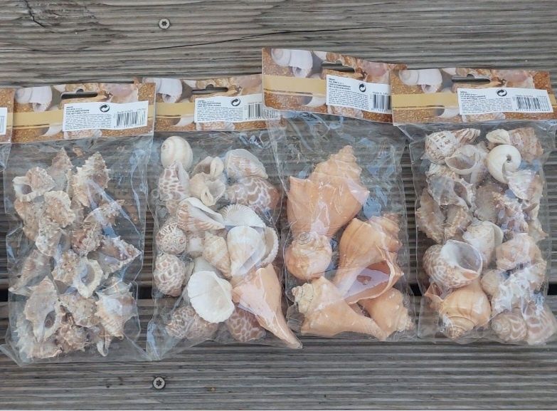 Набор ракушек. Made in India.