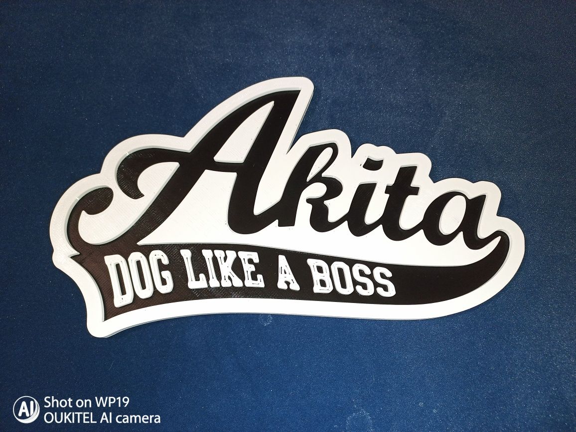 Akita dog like a boss obraz 3d na ścianę