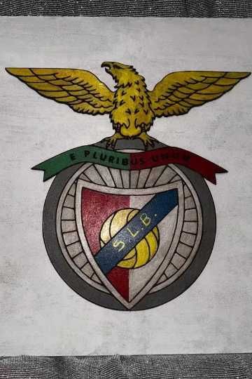 Quadro Benfica Personalizado