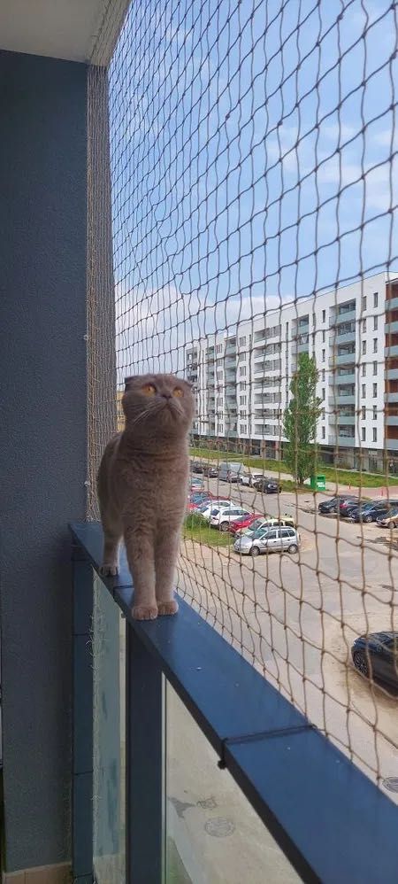 siatki zabezpieczające/ dla kota/ przed ptakami/ balkon/ okno/ kolce