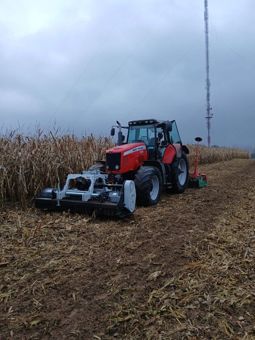 Usługa mulczowania(po kukurydzy poplonów i nie użytkownik)