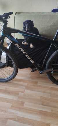 Rama MTB Kross Level 11 karbon