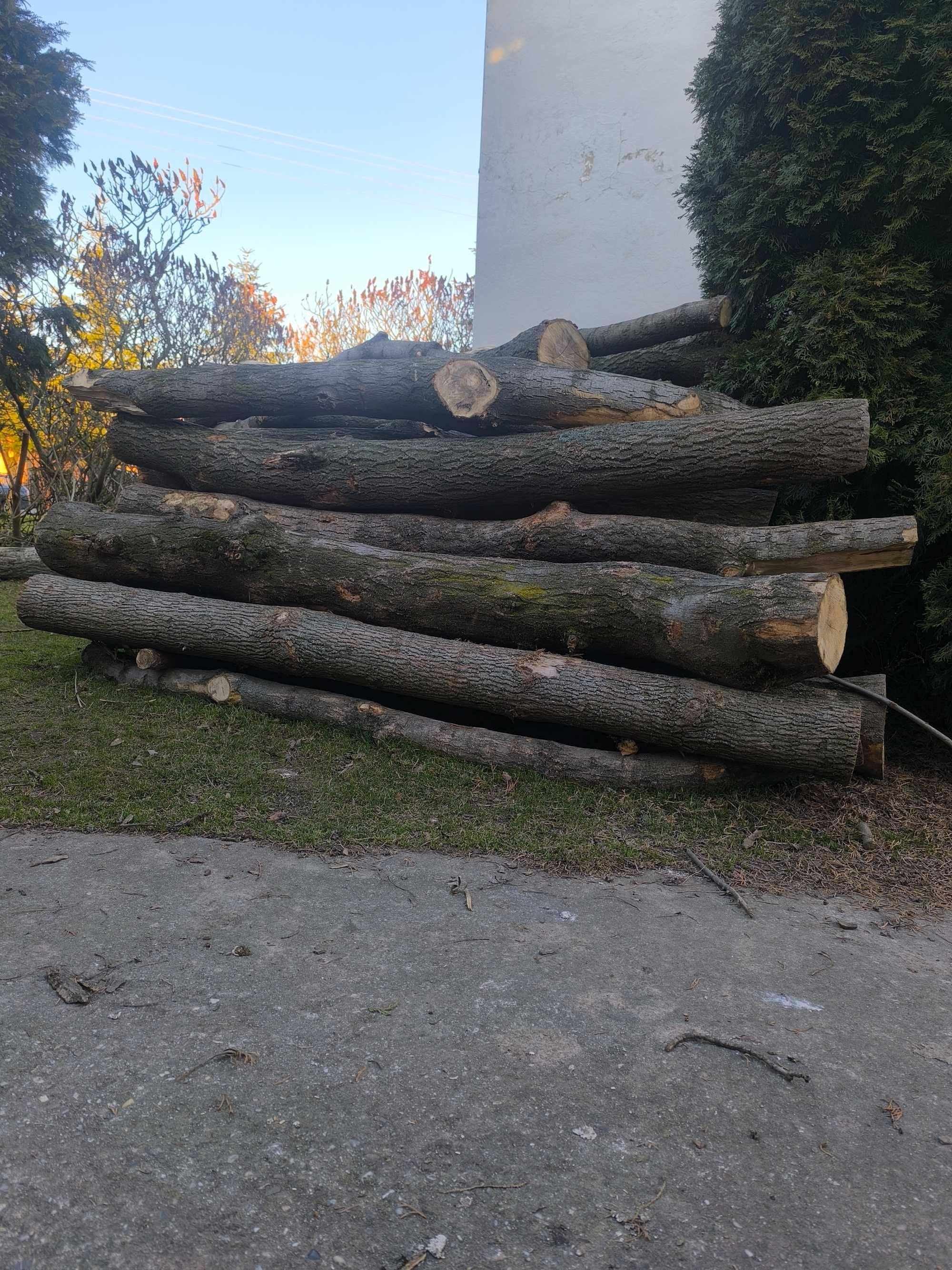 Drewno kominkowe
