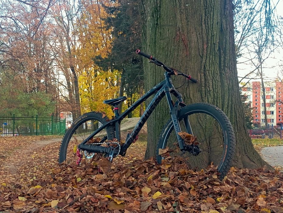 Dartmoor hornet doinwestowany