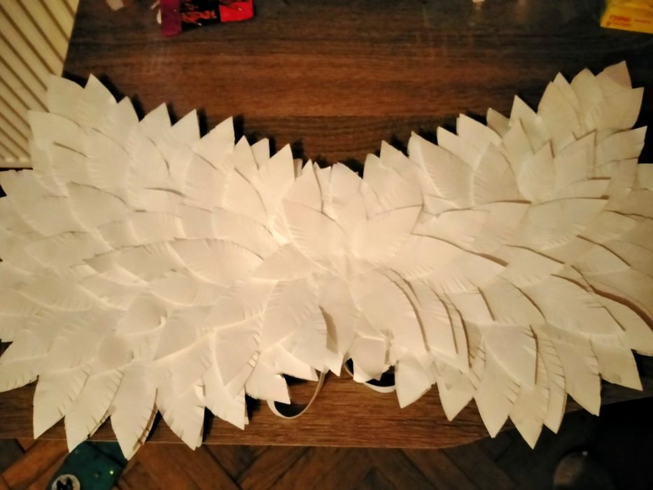 Прокат -крила янгола і німб