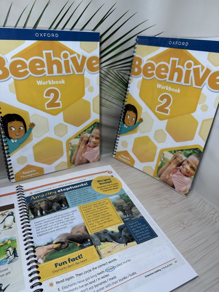 Beehive ДРУК КНИГ 1 день