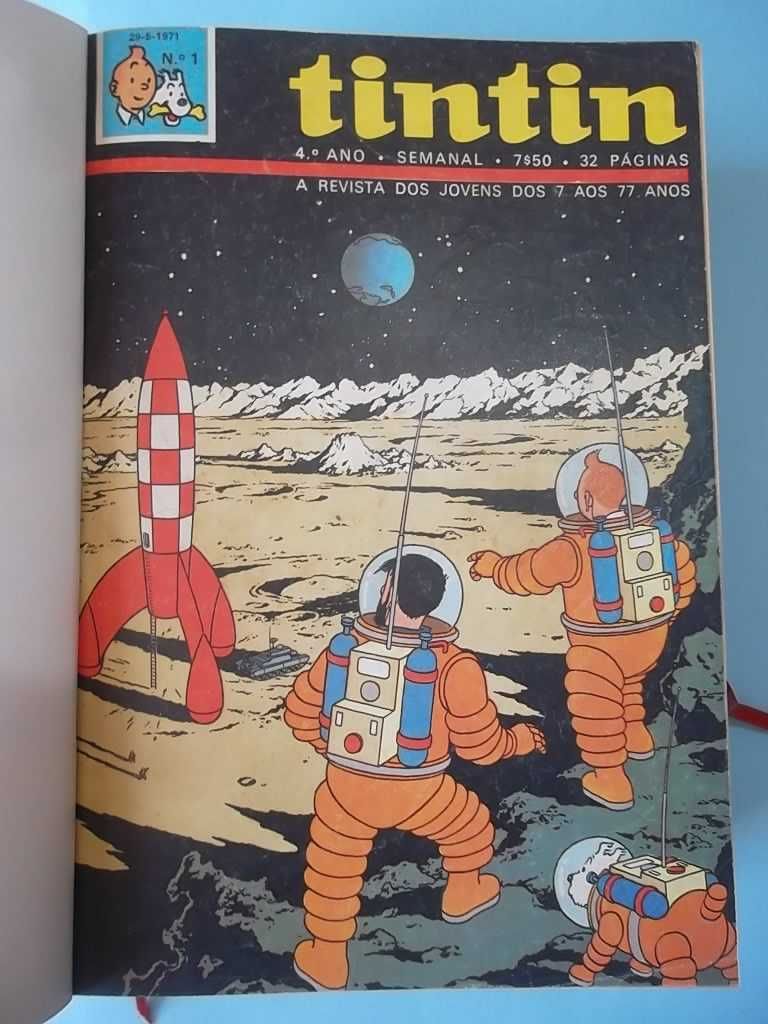 Volumes TINTIN. Encadernações não editoriais. Desde o 3º ano.